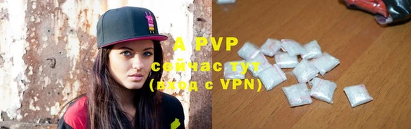 a pvp Магас