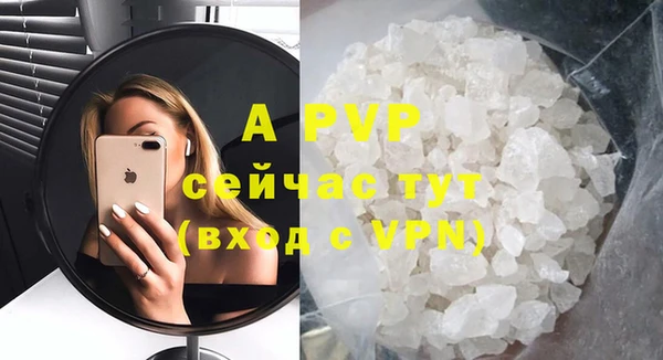 a pvp Магас